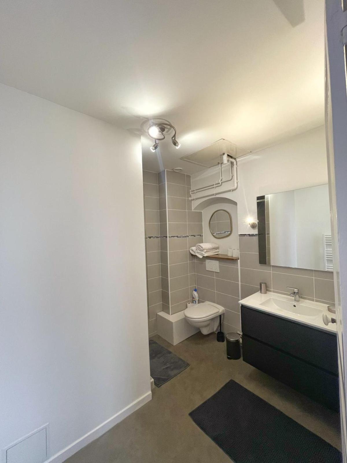 Center Macon Charmant Appartement Avec Vue Sur La Saone 外观 照片