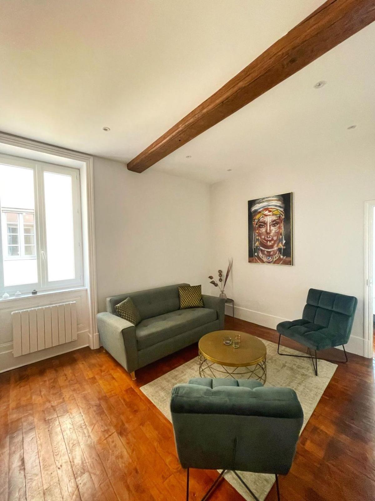 Center Macon Charmant Appartement Avec Vue Sur La Saone 外观 照片