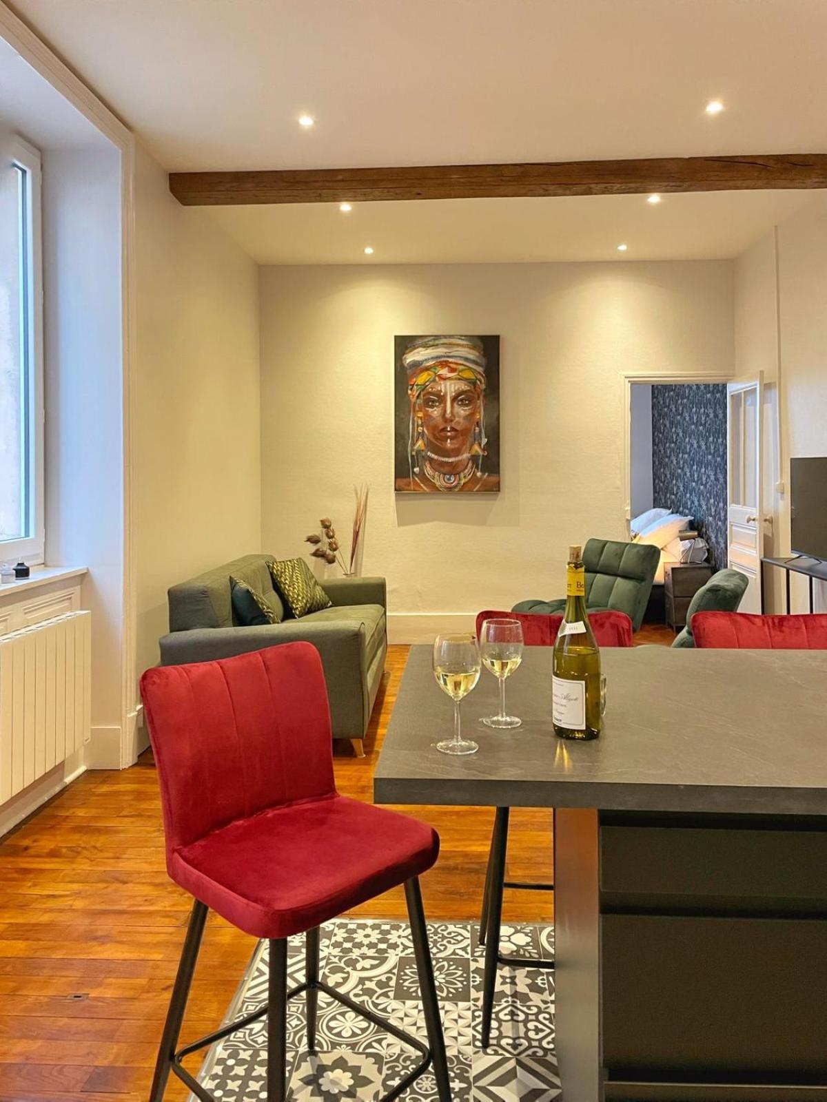 Center Macon Charmant Appartement Avec Vue Sur La Saone 外观 照片